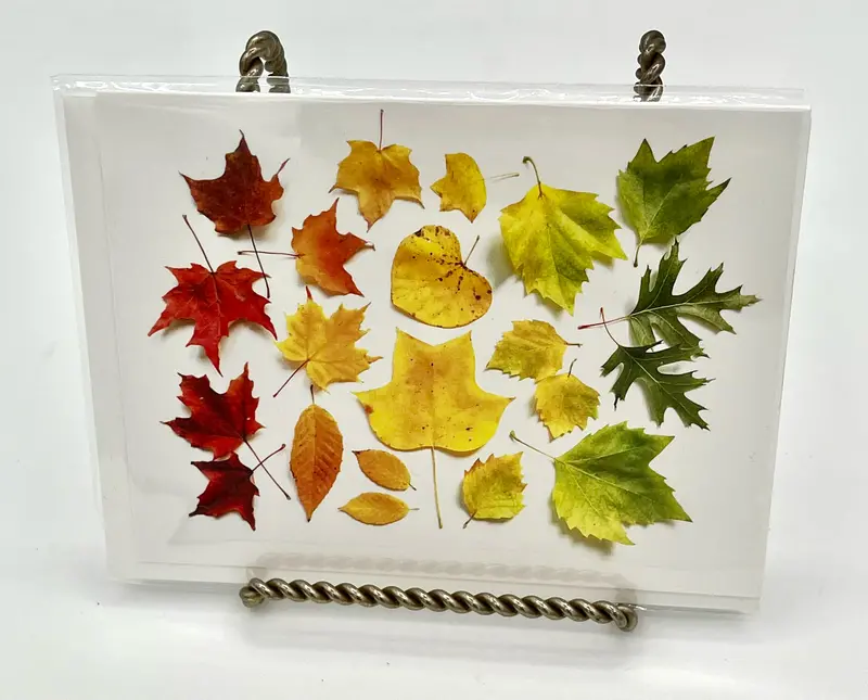 Autumn Leaf Ombre Note Card – Seasonal Stationery 1