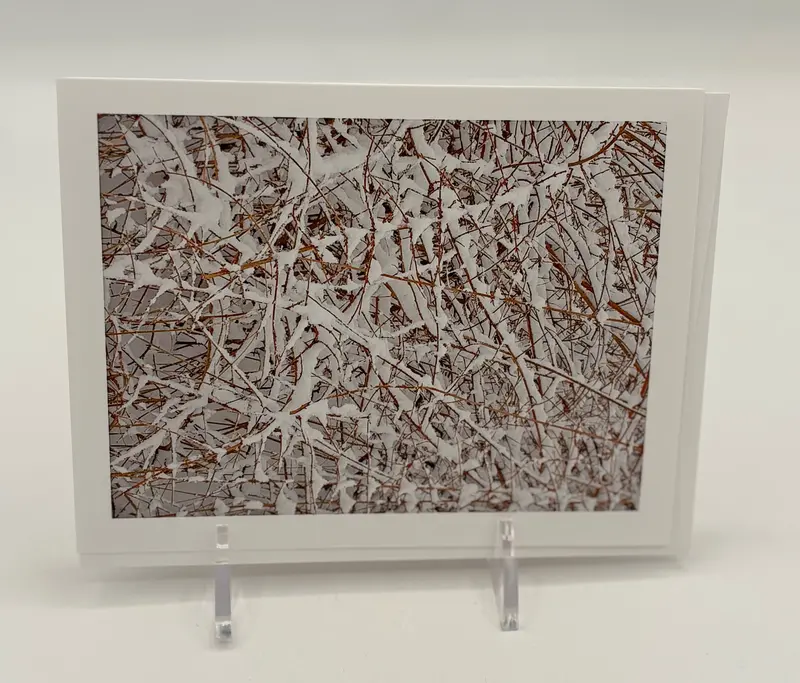 Central Park Snow-Covered Landscape Boxed Cards 1