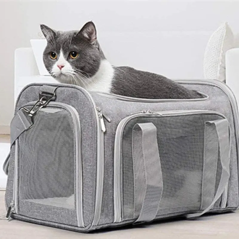Lightweight Foldable Dog Carrier Bag For Small Breeds 1
