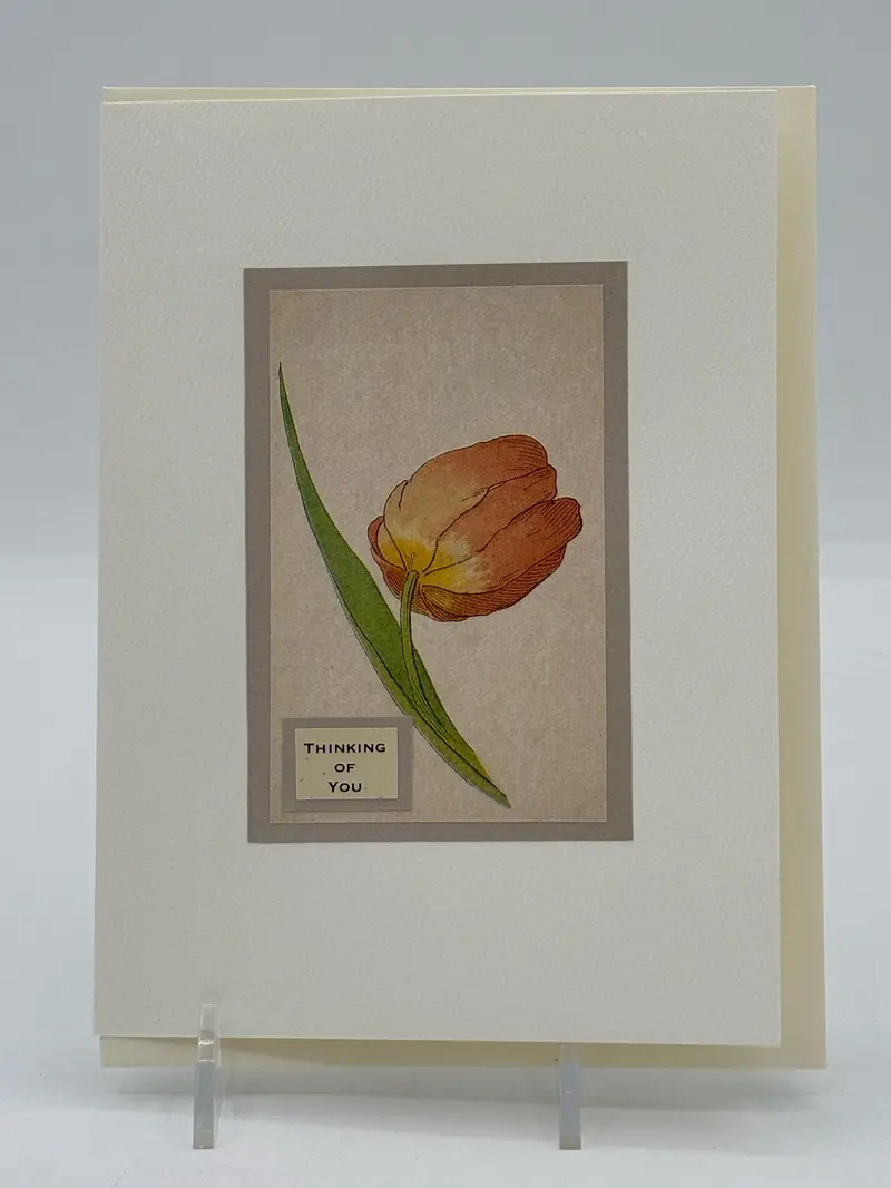 Tulip 'Thinking Of You' Greeting Card 1