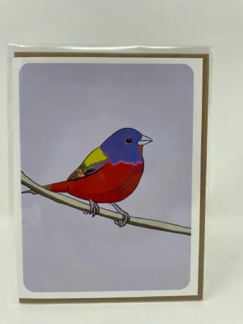 Vibrant Painted Bunting Wildlife Greeting Card 1